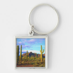 Desert in springtime keychain