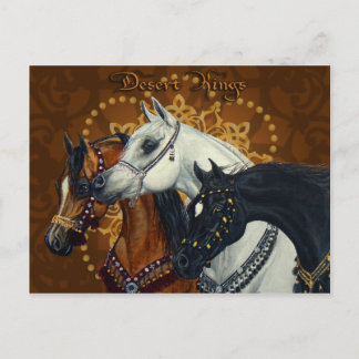 Desert Kings Arabian chevaux carte postale
