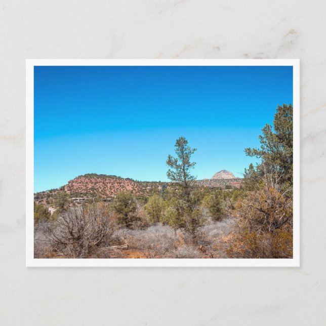 desert landscape postcard (Front)