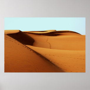 Desert Landscape Poster