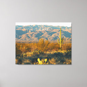 Desert Landscape with Saguaro Cactus Canvas Print