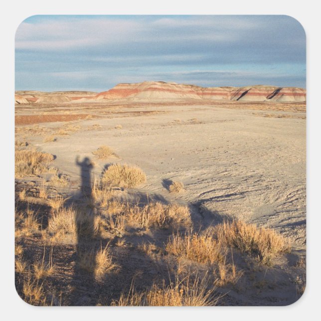 Desert Landscape with Waving Shadow Photo Square Sticker (Front)