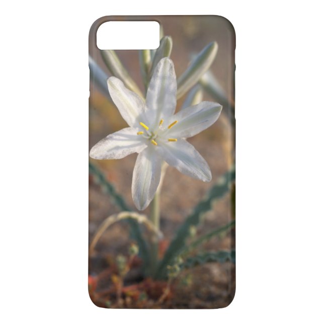 Desert Lily Wildflowers Case-Mate iPhone Case (Back)