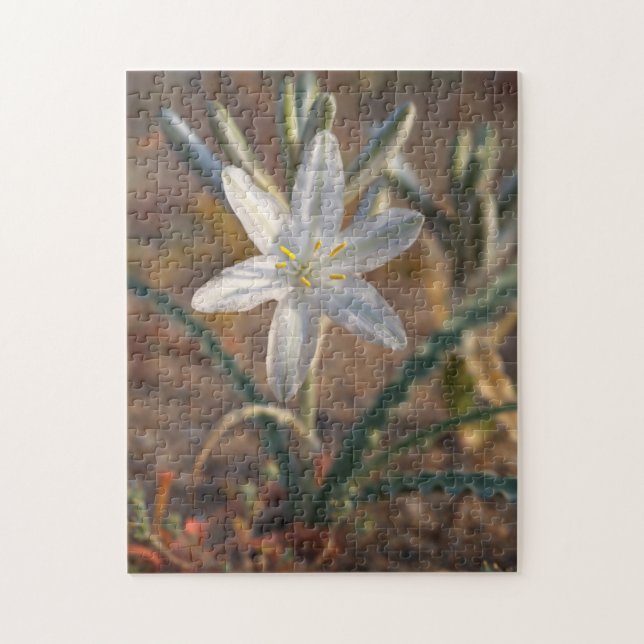 Desert Lily Wildflowers Jigsaw Puzzle (Vertical)