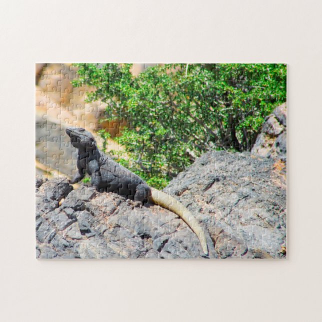 Desert Lizard Nevada. Jigsaw Puzzle (Horizontal)