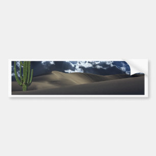 Desert Moon Bumper Sticker