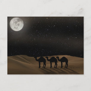 Desert Moon Postcard
