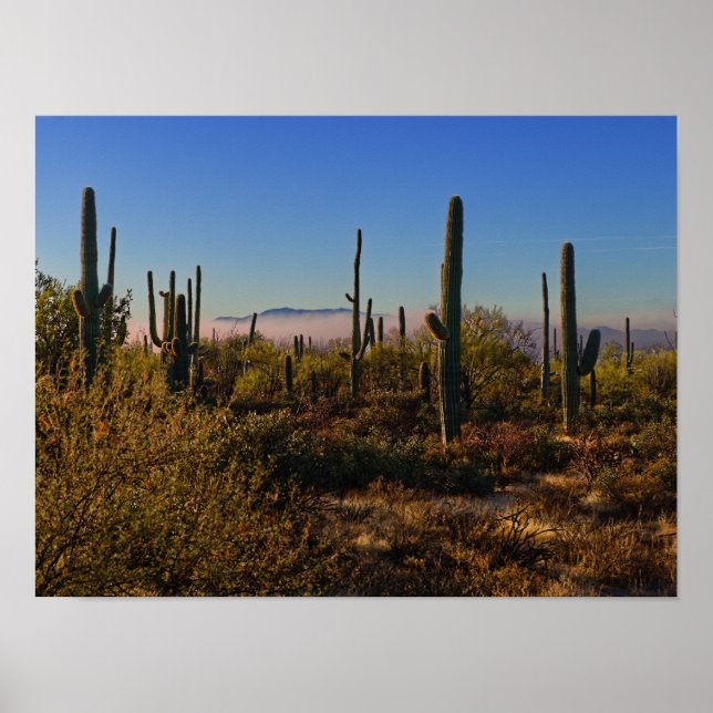 Desert Morning Poster (Front)