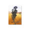 DESERT MYSTIC