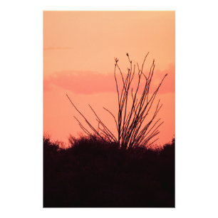 Desert nights photo print