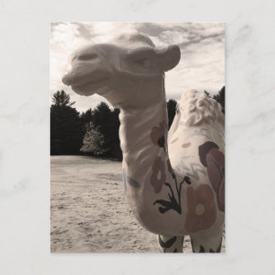 desert of maine postcard