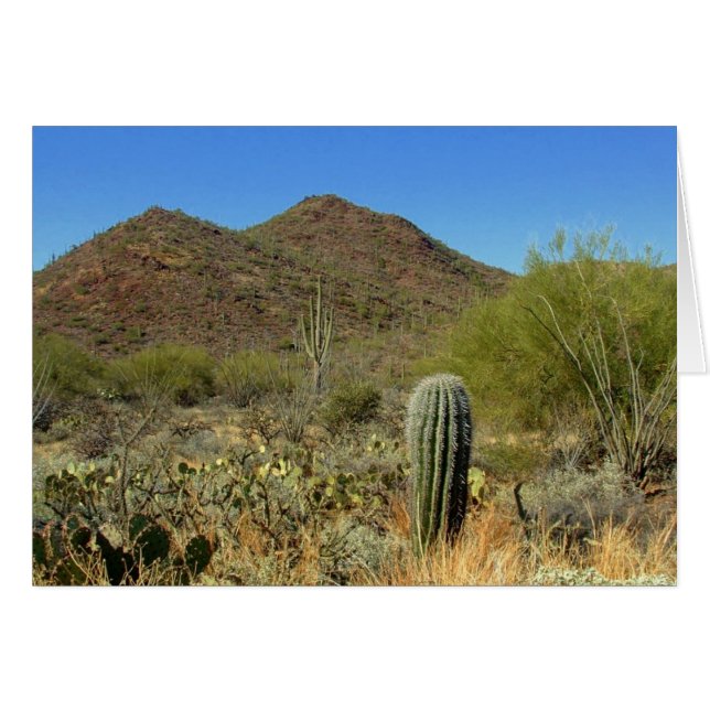 Desert Paradise (Front Horizontal)