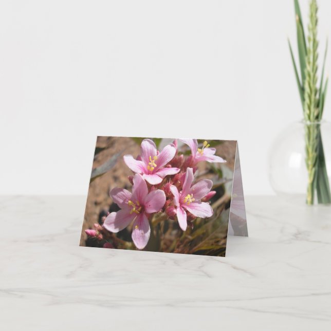 Desert Pink - Carte de note (Devant)