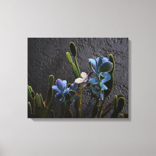 Desert Plants Canvas Print