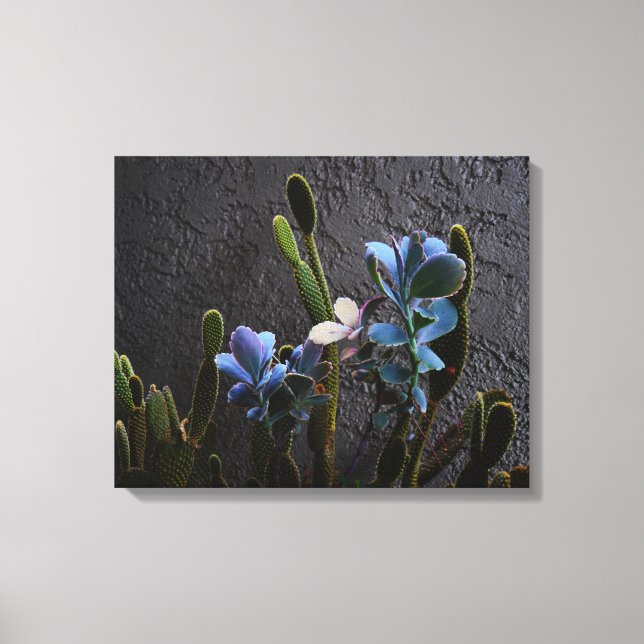 Desert Plants Canvas Print (Front)