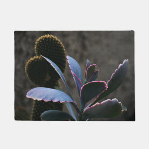 Desert Plants Doormat