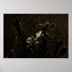 Desert Plants Poster