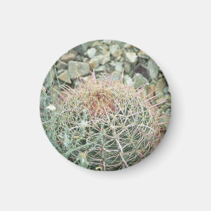 Desert Poetry Cactus Refrigerator Gift Magnet