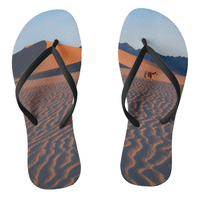 "Desert Pug with Wanderlust" Funny Pug Scenic Flip Flops (Footbed)