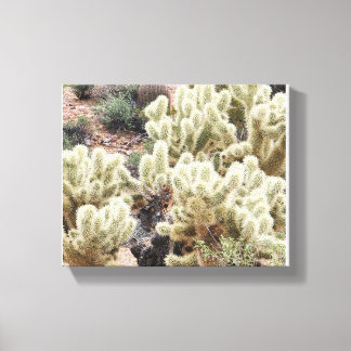 Desert Radiance Cholla Cactus Photo Canvas Print