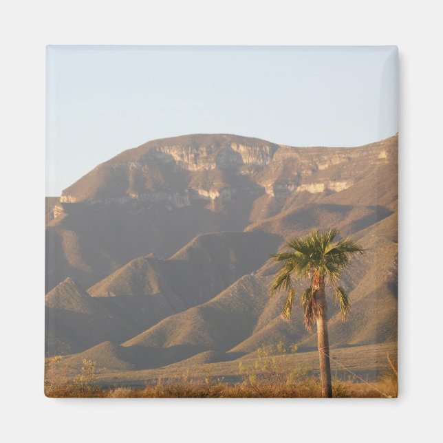 Desert ranch landscape near Monterey, Mexico. Magnet (Front)