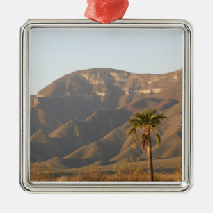 Desert ranch landscape near Monterey, Mexico. Metal Ornament