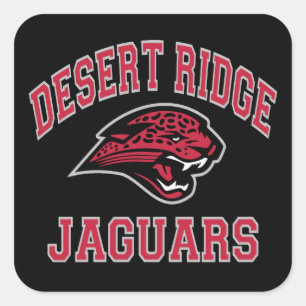 Desert Ridge Jaguars Square Sticker
