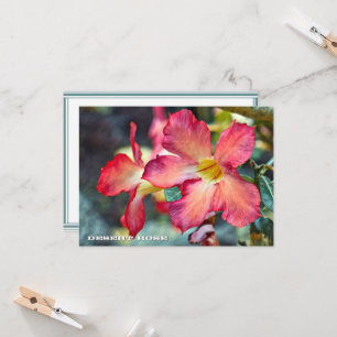 Desert Rose: Flat Card