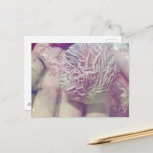Desert Rose Postcard