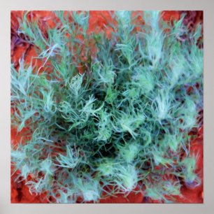 Desert Sage Poster