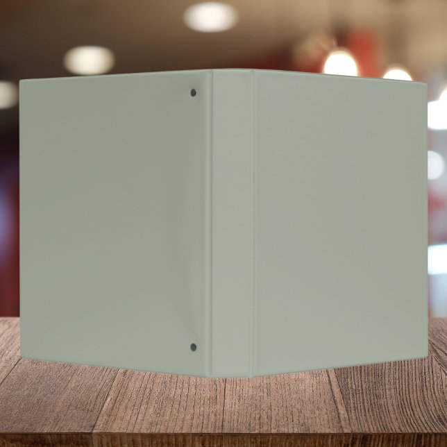 Desert Sage Solid Colour Binder (Creator Uploaded)