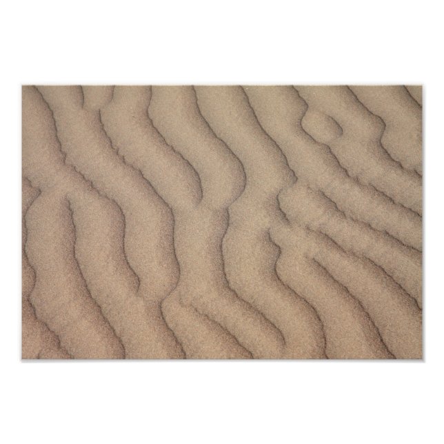 Desert sand ripples photo print (Front)