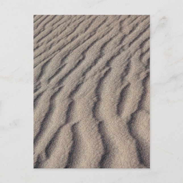 Desert sand ripples postcard (Front)