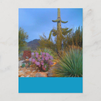 Desert Scene Postcard