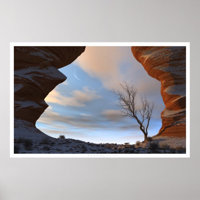 Desert Snow Poster (Front)