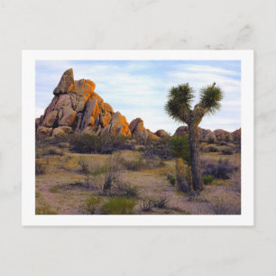 " Desert Soft Light " Postcard