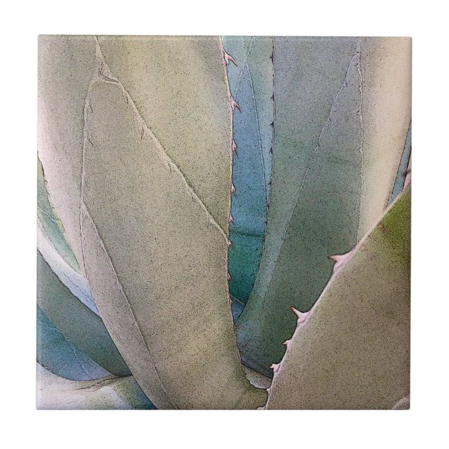 Desert Southwest Botanical Tile (Front)