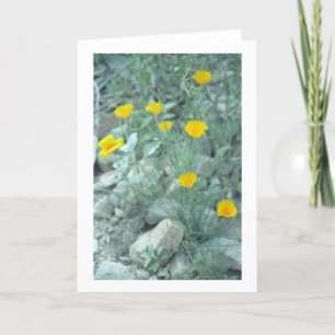 Desert Spring Flowers Greeting Card or Note Card