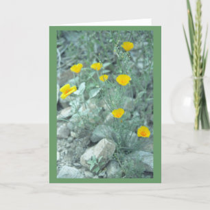 Desert Spring Flowers Greeting Card or Note Card