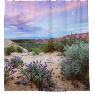 Desert Spring Utah Landscape