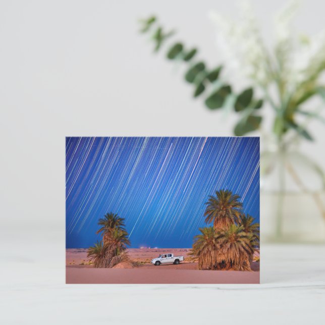 Desert Star Trails: Palm Trees & Pickup Truck Nigh Postcard (Standing Front)