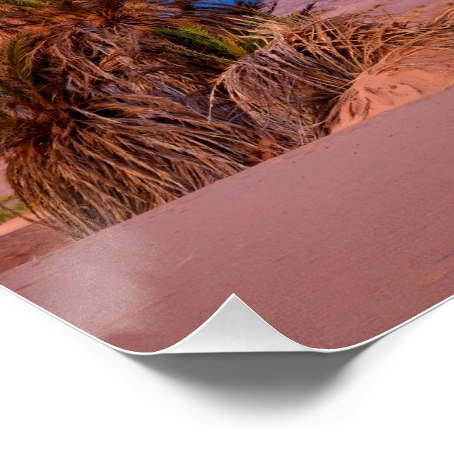 Desert Star Trails: Palm Trees & Pickup Truck Nigh Poster (Corner)