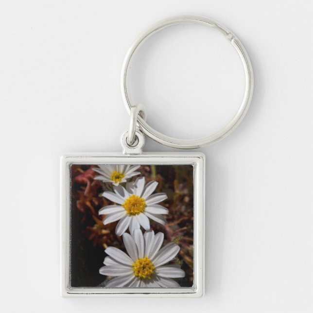 Desert Star Wildflowers Keychain (Front)
