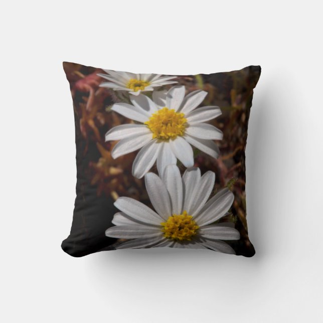 Desert Star Wildflowers Throw Pillow (Front)