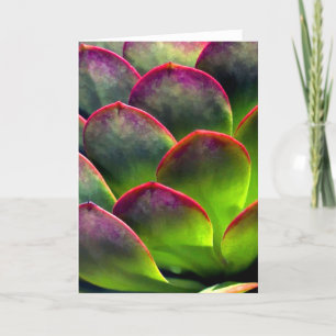 Desert Succulent in Bright Sun and Shade Card