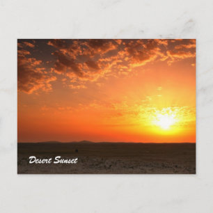 Desert Sunset Postcard