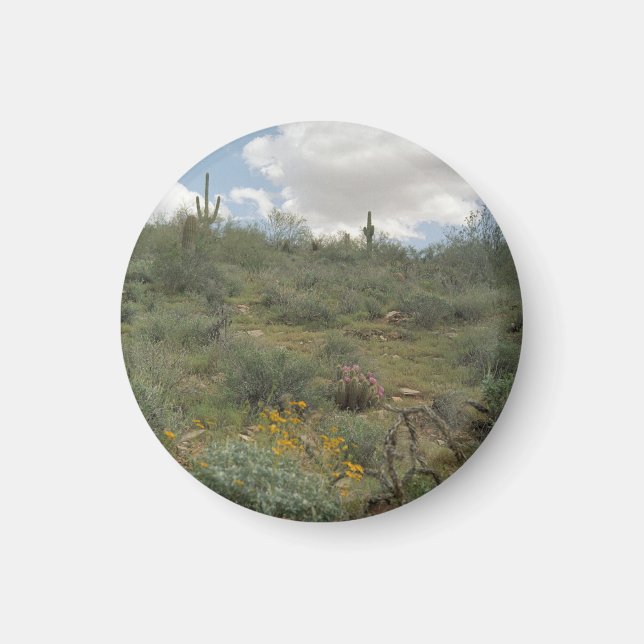 Desert Symphony Desert Refrigerator Magnet (Front)