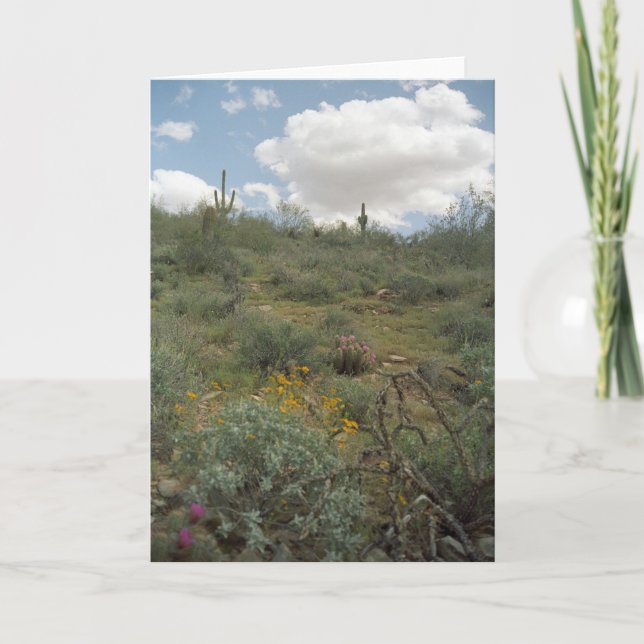 Desert Symphony Greeting Cards or Note Cards (Front)