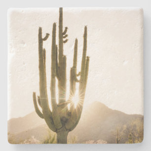Desert Themed Coasters with Cactus Photo