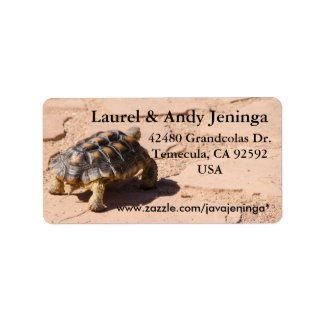 Desert Tortoise Address Labels